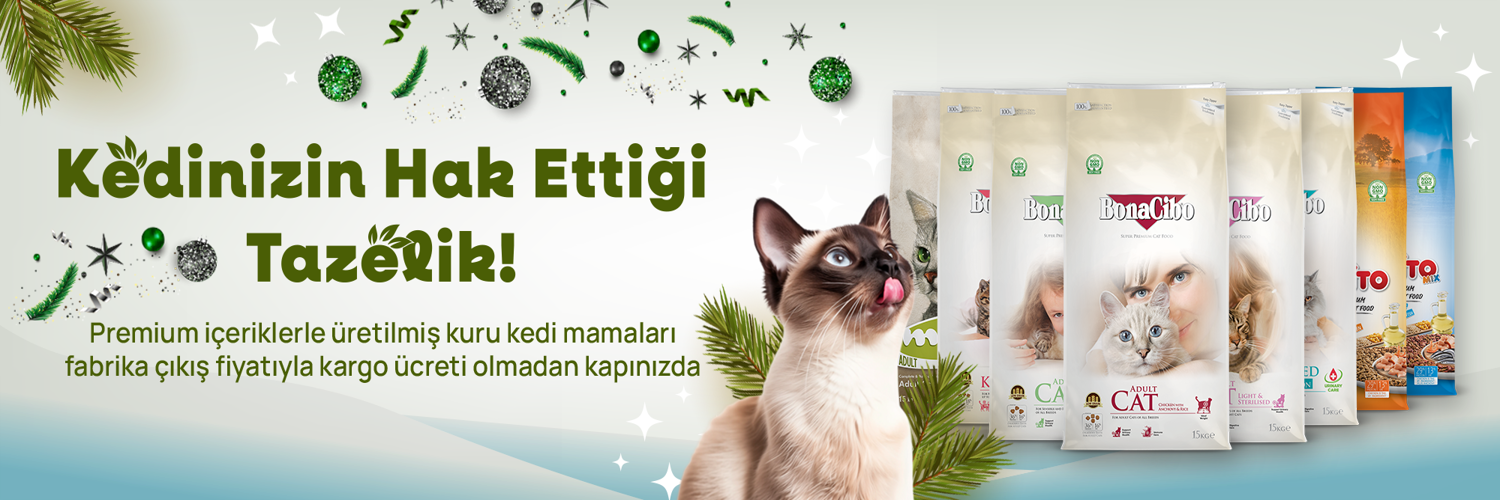 Kedi Kuru Mama Yeniyıl