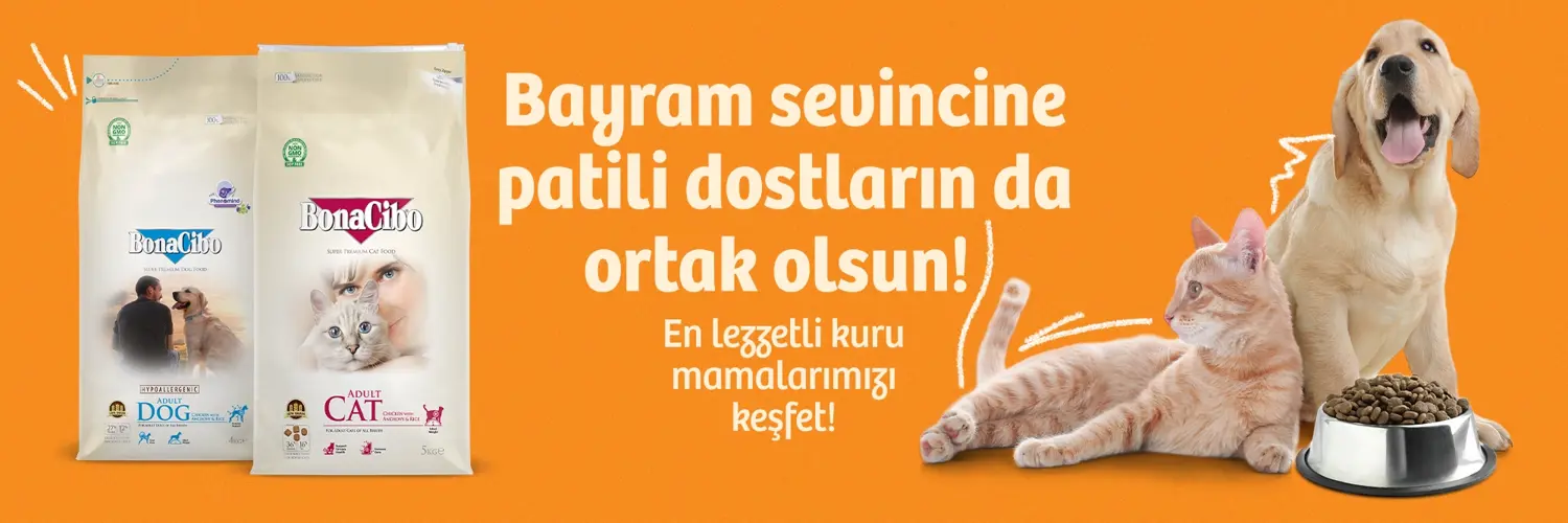 Bayram Hazırlık