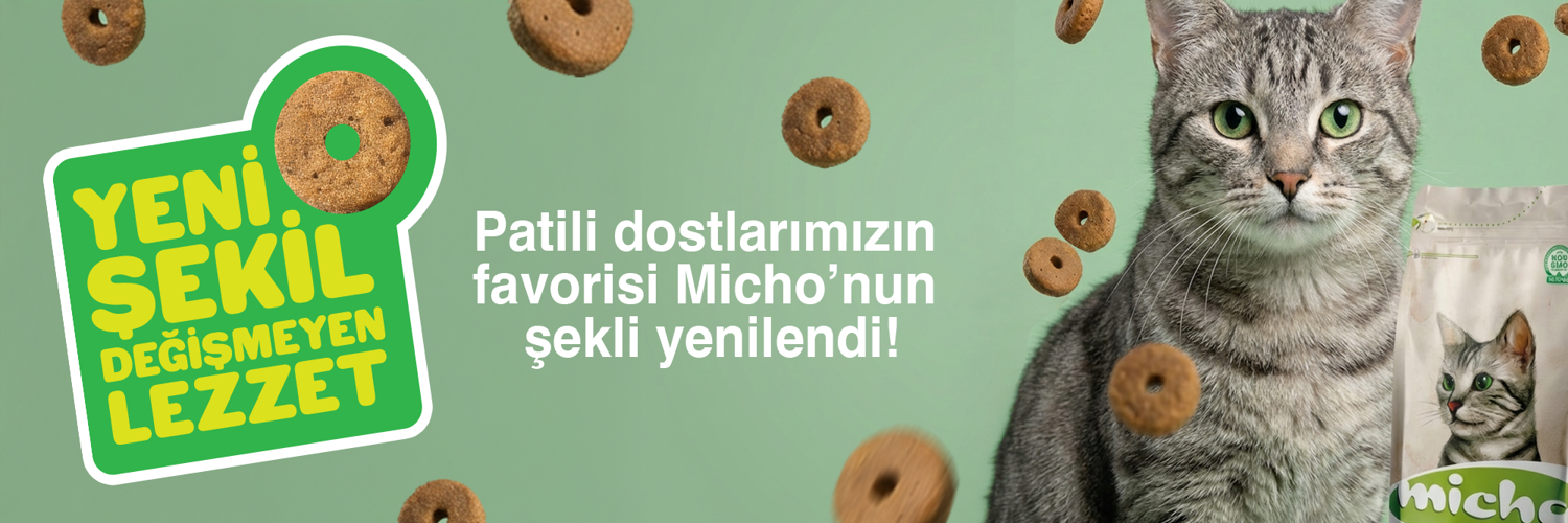 Micho Yeni Sekil