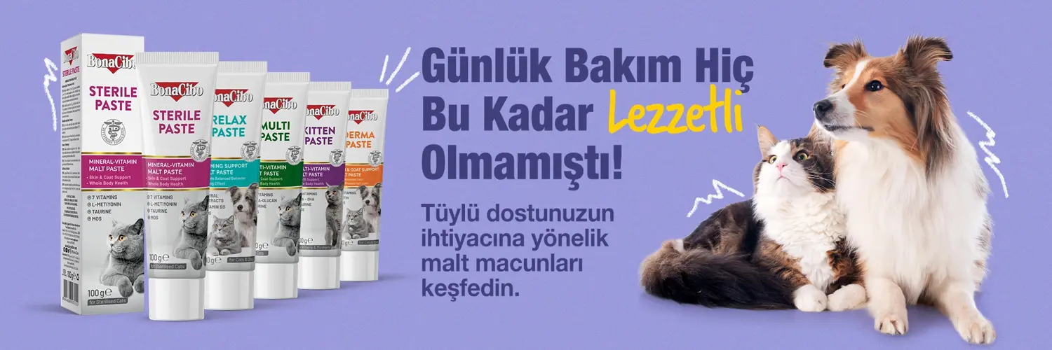 Takviye ürün