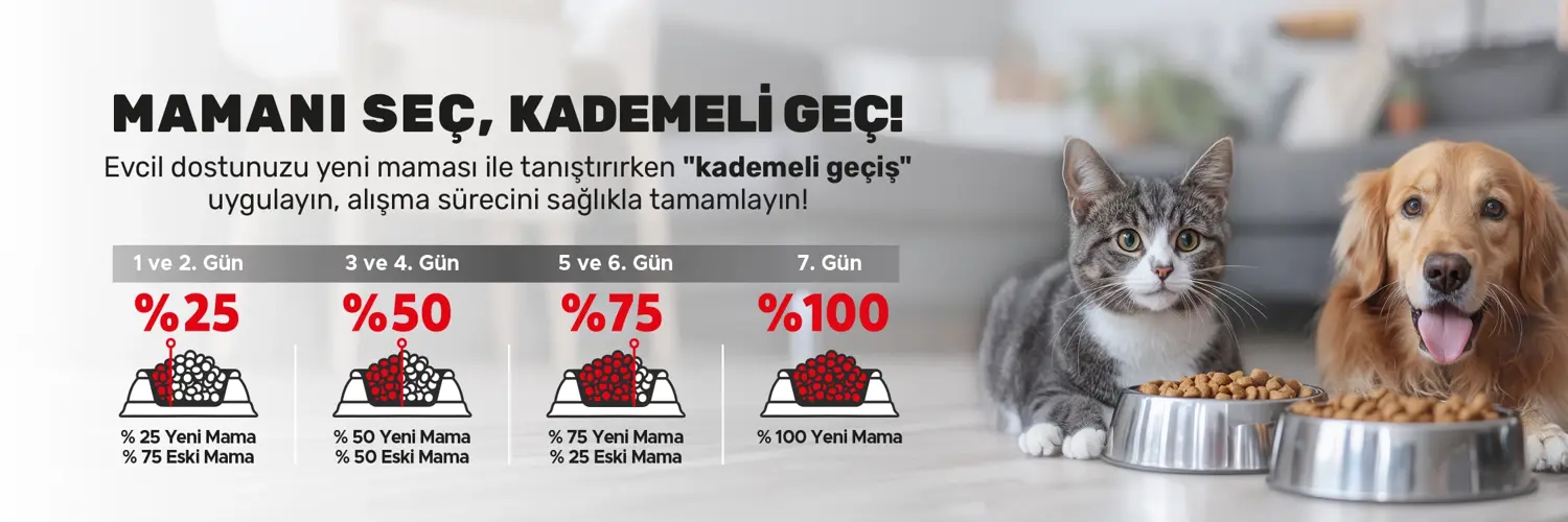 Kademeli Geçiş