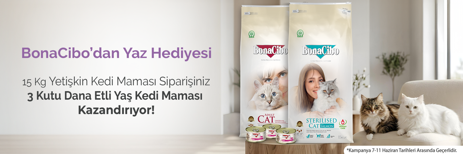 BC Kedi Konserve Hediye