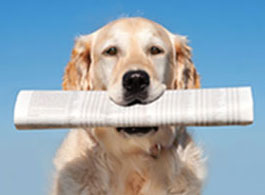 Temizmama.com haberler