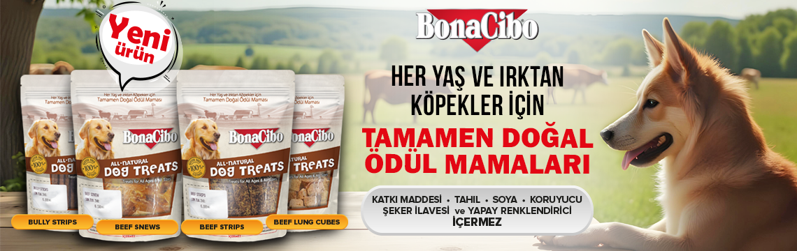 Köpek Ödül Maması Avantajı