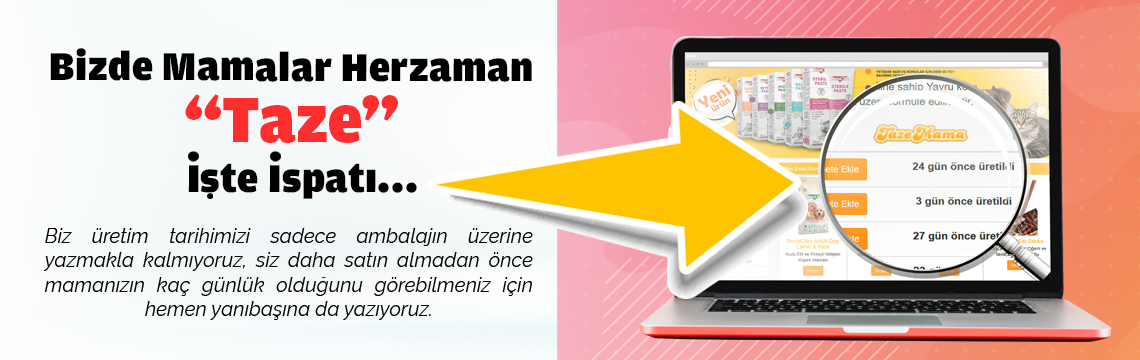 Bizde Mamalar Her Zaman Taze