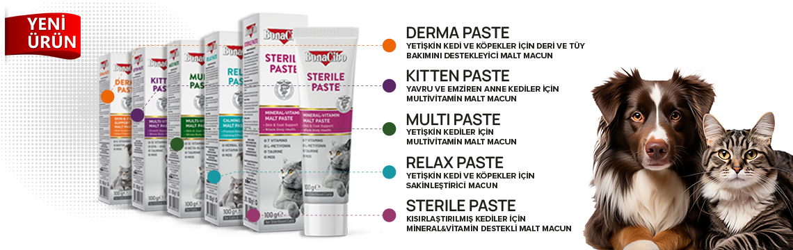 Yeni Ürün Paste Anasayfa