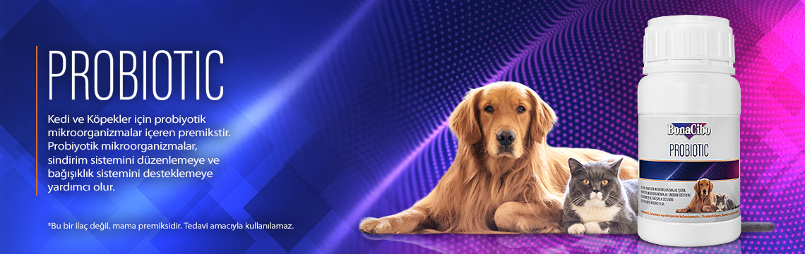 Köpek Mamaları | temizmama.com
