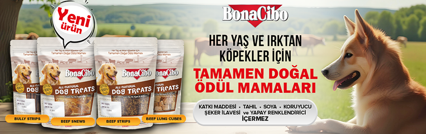 Köpek Ödül Maması Avantajı