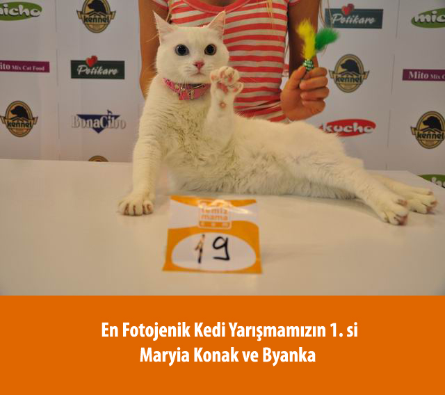 Petshow 2012 fuarından görüntüler