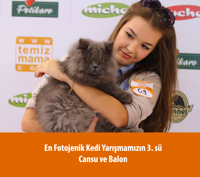 Petshow 2012 fuarından görüntüler