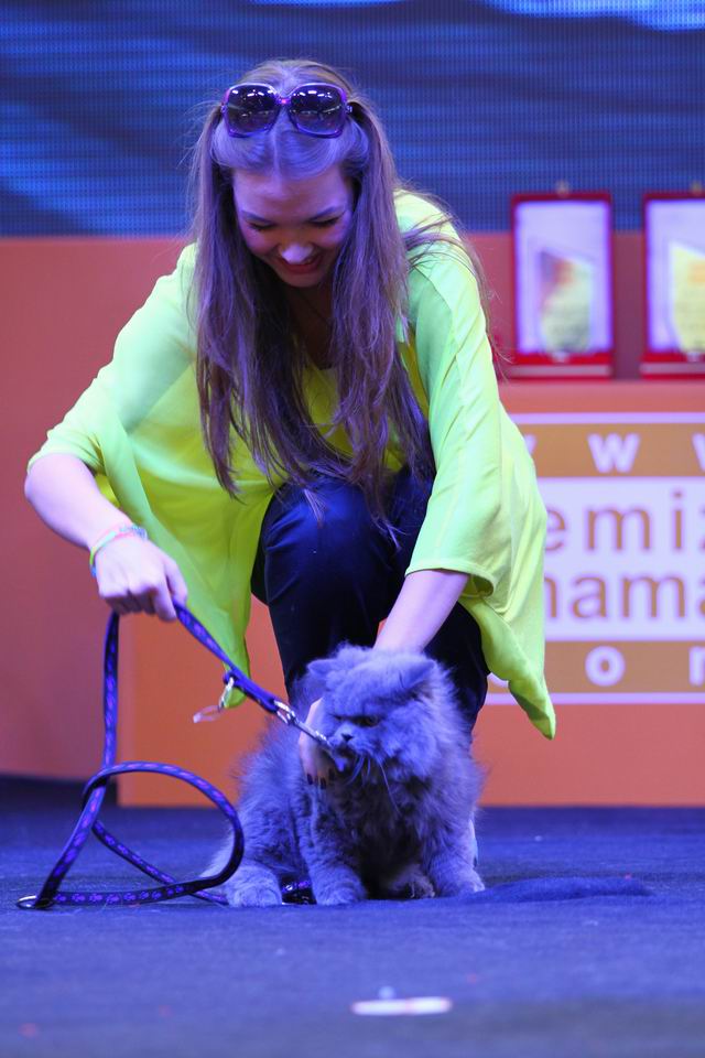Petshow 2012 fuarından görüntüler