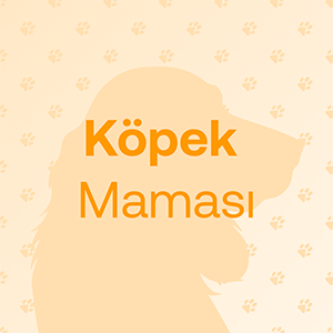 köpek maması