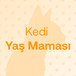 kedi yaş maması
