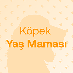 Köpek yaş maması