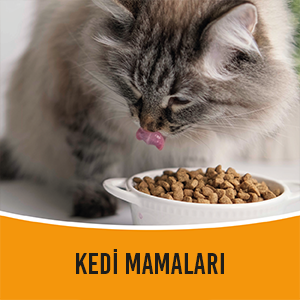 kedi mamaları