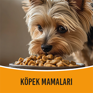 köpek mamaları