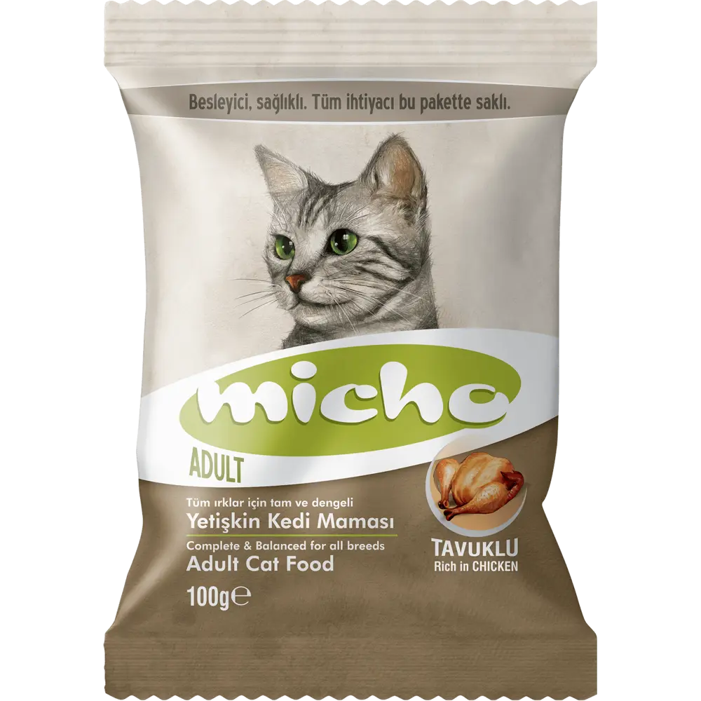 Micho Adult Cat