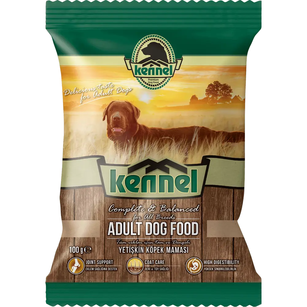 Kennel Adult Dog