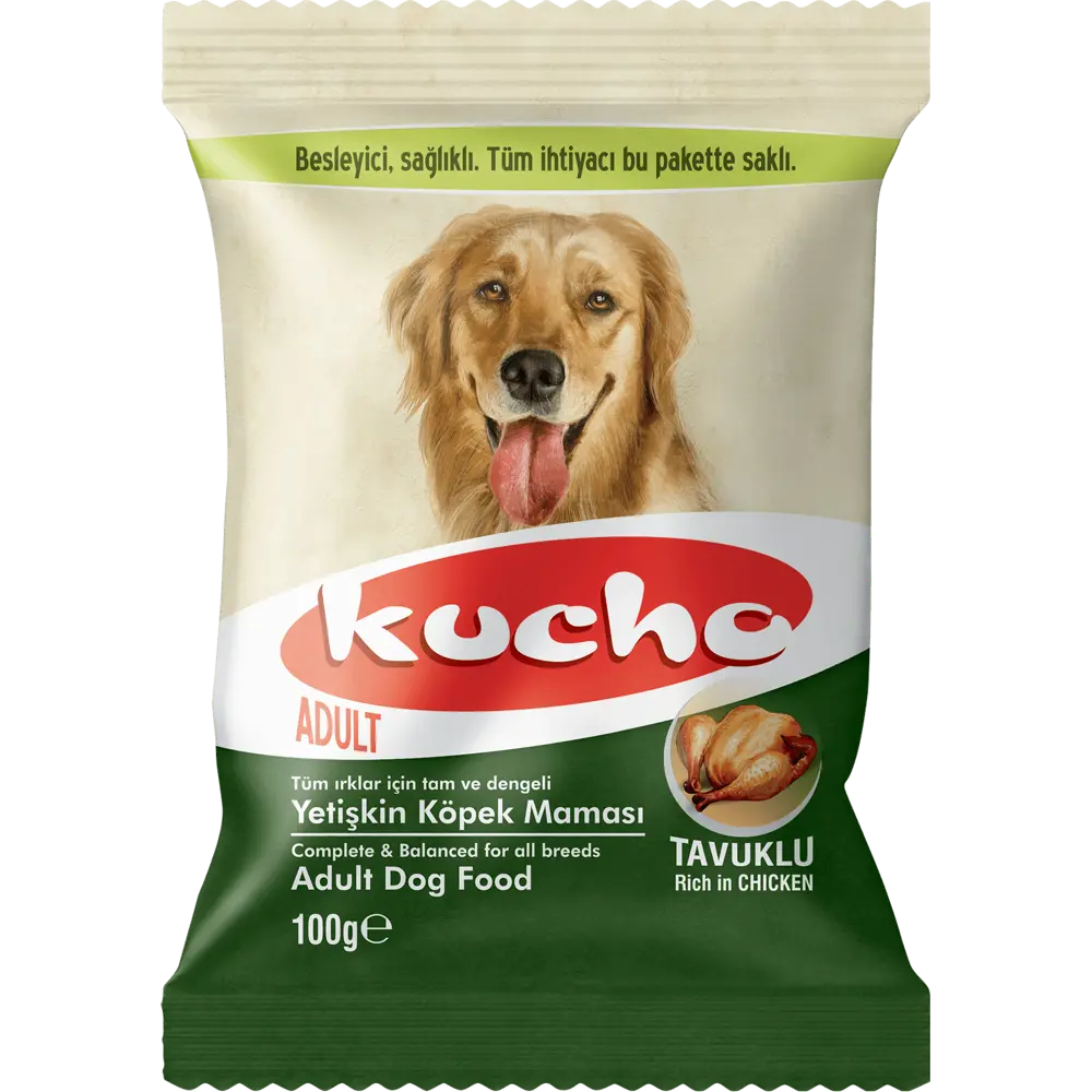 Kucho Adult Dog