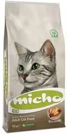 Micho Adult Cat