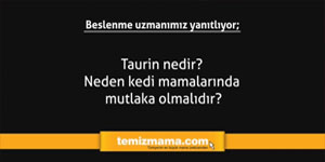 Taurin nedir