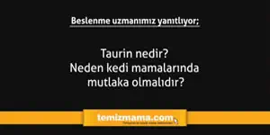 Taurin nedir? Neden kedi mamalarında mutlaka olmalıdır?