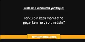 Farklı bir kedi mamasına geçerken ne yapılmalıdır?