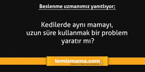 Kedilerde aynı mamayı, uzun süre kullanmak bir problem yaratır mı? Kedilerde aynı mamayı, uzun süre kullanmak bir problem yaratır mı?