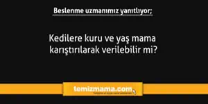 Kedilere kuru ve yaş mama karıştırılarak verilebilir mi?