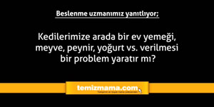 Kedilerimize Arada Bir Ev Yemegi Meyve Peynir Yogurt Vs Verilmesi Bir Problem Yaratir Mi Temizmama Com