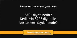 BARF diyeti nedir? Kedilerin BARF diyeti ile beslenmesi faydalı mıdır?