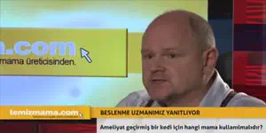 Ameliyat geçirmiş bir kedi için hangi mama kullanılmalıdır? Ameliyat geçirmiş bir kedi için hangi mama kullanılmalıdır?