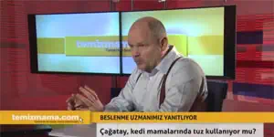 Çağatay, kedi mamalarında tuz kullanıyor mu? Çağatay, kedi mamalarında tuz kullanıyor mu?