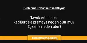 Tavuk etli mama kedilerde egzamaya neden olur mu? Egzama neden olur?