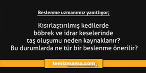 Kısırlaştırılmış kedilerde böbrek ve idrar keselerinde taş oluşumu neden kaynaklanır? Bu durumda ne tür bir beslenme önerilir? Kısırlaştırılmış kedilerde böbrek ve idrar keselerinde taş oluşumu neden kaynaklanır? Bu durumda ne tür bir beslenme önerilir?