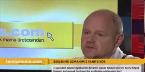 1 yaşından büyük köpeklerde devamlı olarak Yüksek Enerjili Yavru Köpek Maması kullanmak herhangi bir probleme neden olur mu?