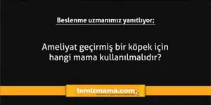 Ameliyat geçirmiş bir köpek için hangi mama kullanılmalıdır?