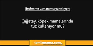 Çağatay, köpek mamalarında tuz kullanıyor mu? Çağatay, köpek mamalarında tuz kullanıyor mu?