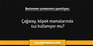 Çağatay, köpek mamalarında tuz kullanıyor mu?