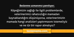 Köpeğimizin sağlığı ile ilgili problemlerde, veterinerimiz rahatsızlığın mamadan kaynaklandığını düşünüyorsa, veterinerimizin mamada hangi analizleri yaptırmasını istemeliyiz ve ne tür bir rapor almalıyız?